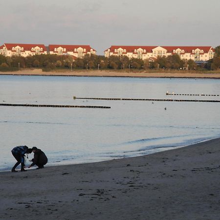 Ostseezauber - غلوفي المظهر الخارجي الصورة